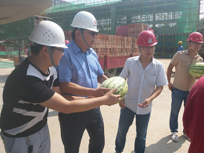 夏日暑正盛 清涼風(fēng)自揚(yáng)