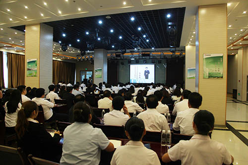 建設(shè)集團開展商務(wù)禮儀專題培訓