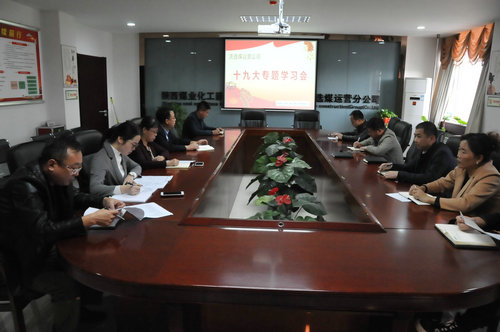 洗選煤運(yùn)營(yíng)公司認(rèn)真學(xué)習(xí)傳達(dá)十九大精神