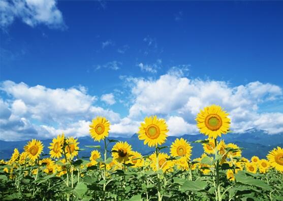 用責任點燃青春，以擔當成就事業(yè)