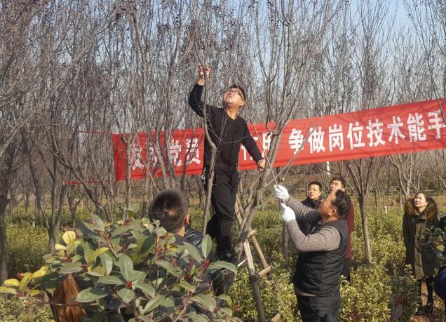 發(fā)揮黨員先鋒模范作用 上好園林技能必修課