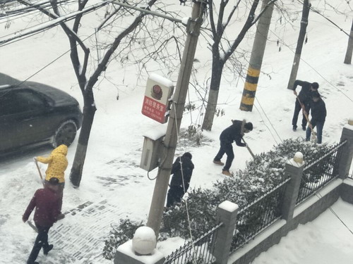 義務(wù)掃雪除冰  黨員干部在行動(dòng)
