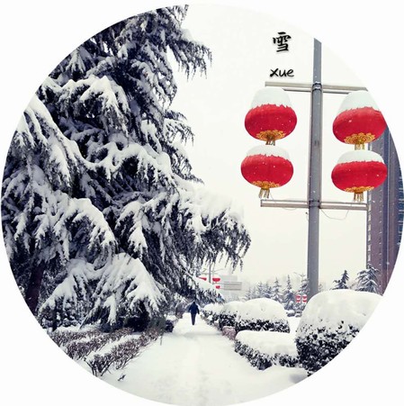 雪,寒冬里的溫柔