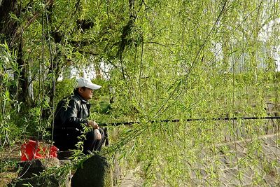 春天，一個多么富有詩意的名字啊！