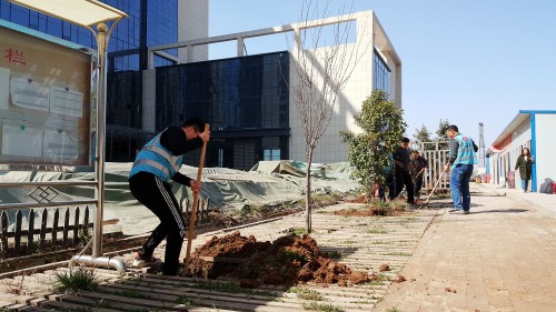 陜煤建設(shè)澄合分公司基層單位開(kāi)展“植樹(shù)護(hù)綠，美麗家園”義務(wù)植樹(shù)活動(dòng)