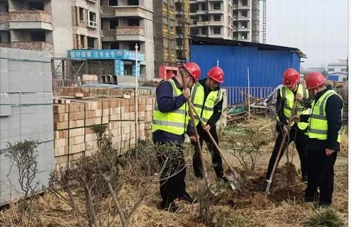 陜煤建設咸陽分公司第五項目部植樹活動如火如荼進行中