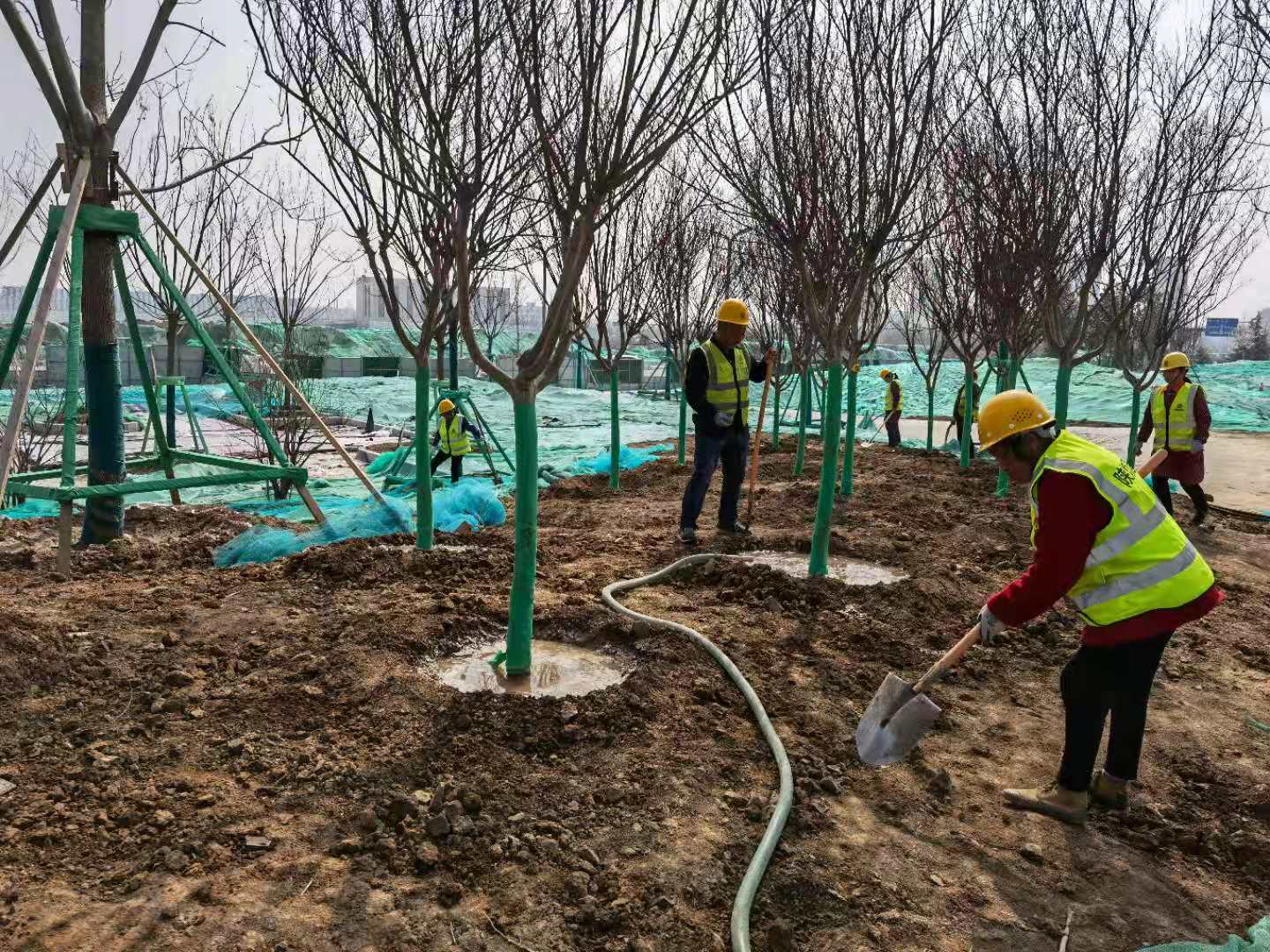 陜煤建設(shè)綠宇公司：為大地添綠正當(dāng)時(shí)