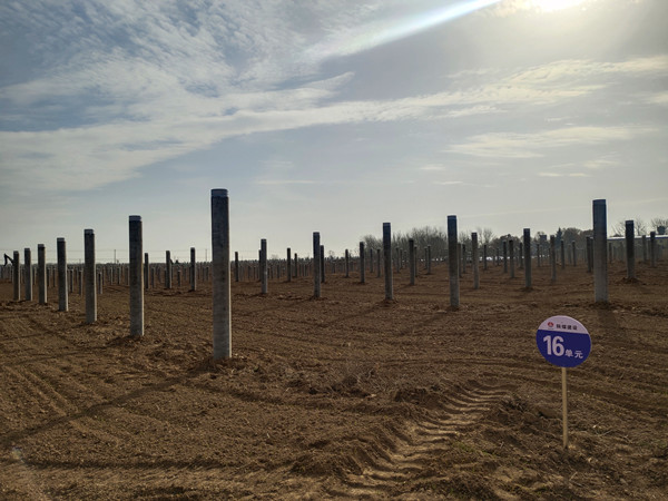 陜煤建設(shè)機電安裝公司:凝心聚力攻堅光伏項目