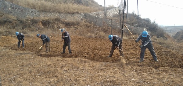 陜煤建設(shè)洗選煤運營公司左權(quán)洗煤廠項目部:春耕“小菜園”,播種幸福感