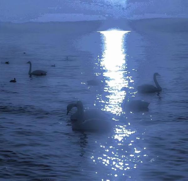 歲月明鏡照亮生命之河