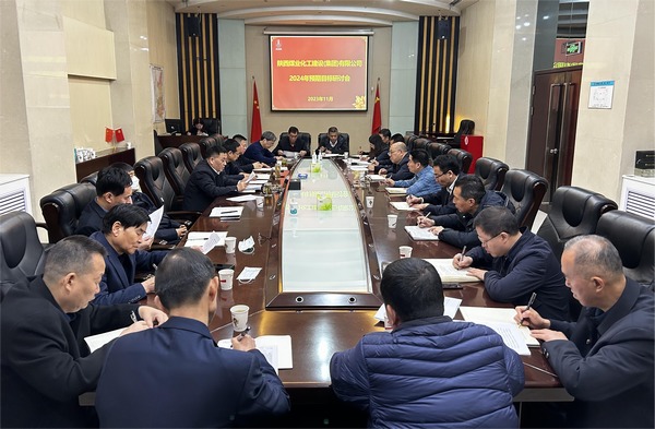 陜煤建設(shè)召開(kāi)2024年預(yù)期目標(biāo)研討會(huì)