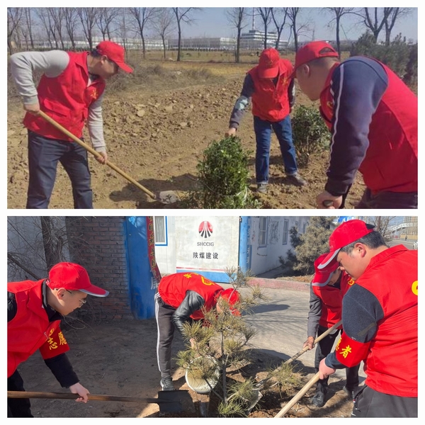 陜煤建設(shè)澄合分公司發(fā)揮黨建動力為項(xiàng)目工地添綠意