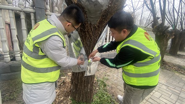 陜煤建設路橋分公司渭南項目部開展“綠色修復,生態(tài)共贏”別樣植樹節(jié)活動