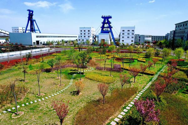 踏尋春天的底色,感知生命的力量