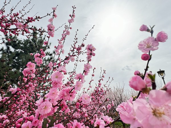 與“春天”來(lái)一場(chǎng)鏤空邂逅