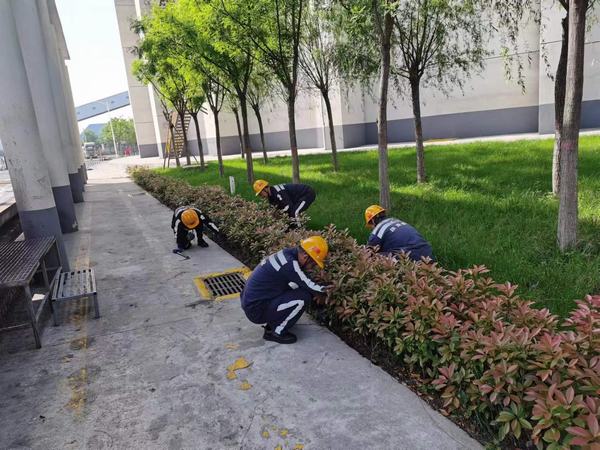 陜煤建設(shè)洗選煤運(yùn)營(yíng)公司神渭蒲城運(yùn)營(yíng)項(xiàng)目部：逐”綠”而行 向”綠”而興！廠區(qū)綠化在行動(dòng)