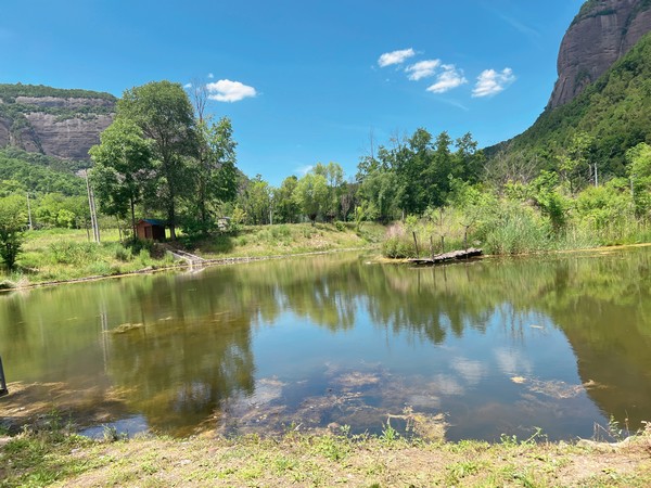 春天再見,夏天你好