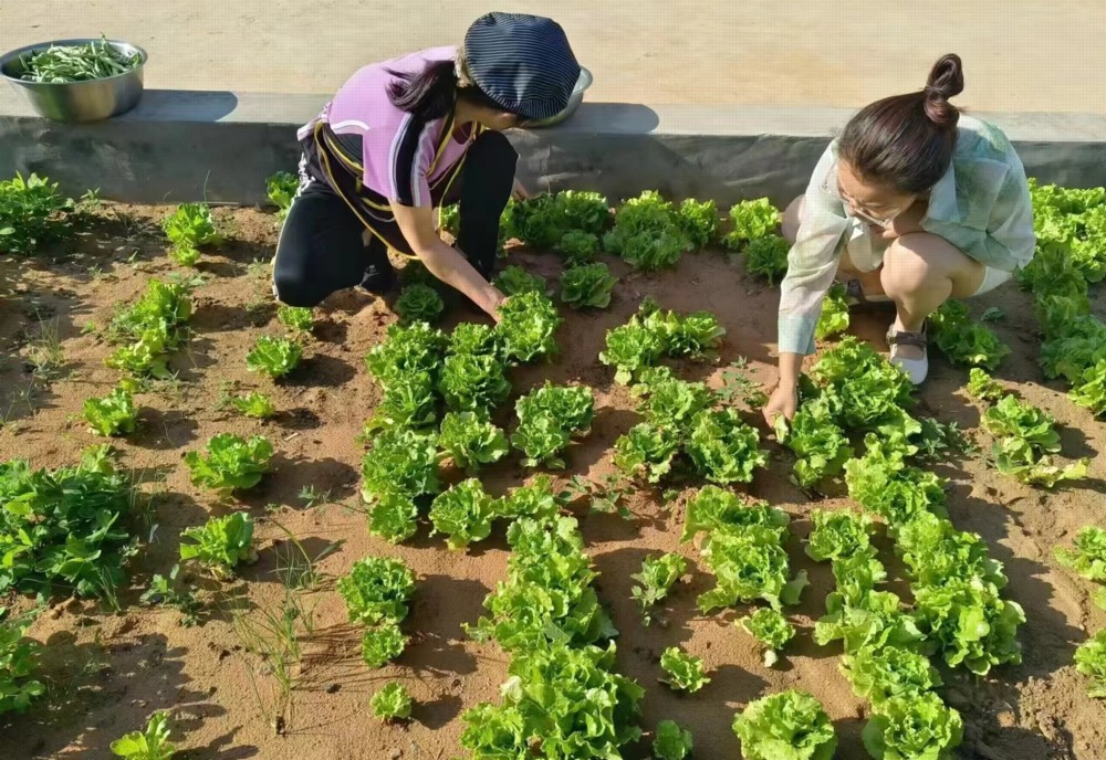 陜煤建設(shè)礦建三公司：項(xiàng)目菜園子“種”出職工幸福感
