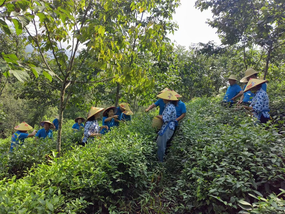 陜煤建設煤礦運營服務分公司:赴天池村開展主題黨日活動
