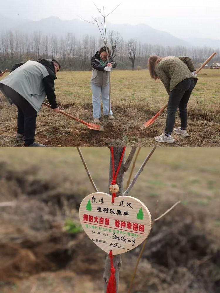 陜煤建設(shè)新城公司：“植”此青綠 共“樹”未來(lái)