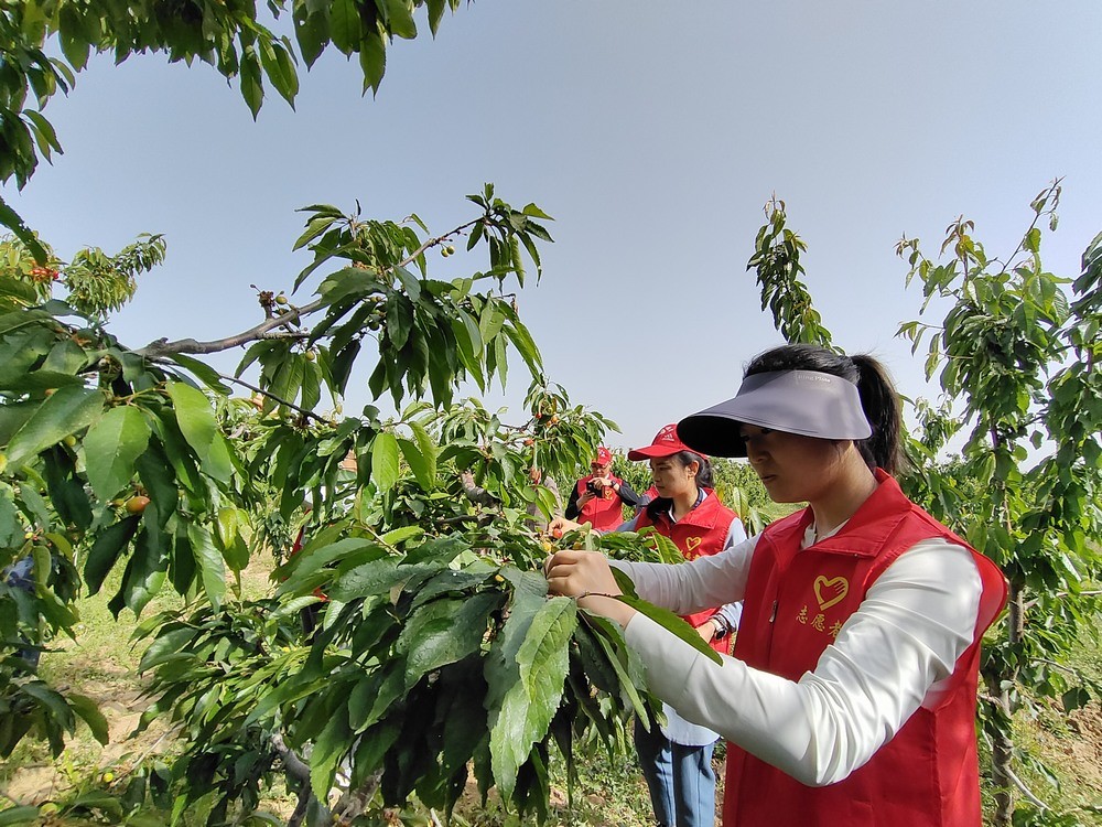 陜煤建設(shè)澄合分公司:助力農(nóng)耕踐初心 防災(zāi)宣傳擔(dān)使命
