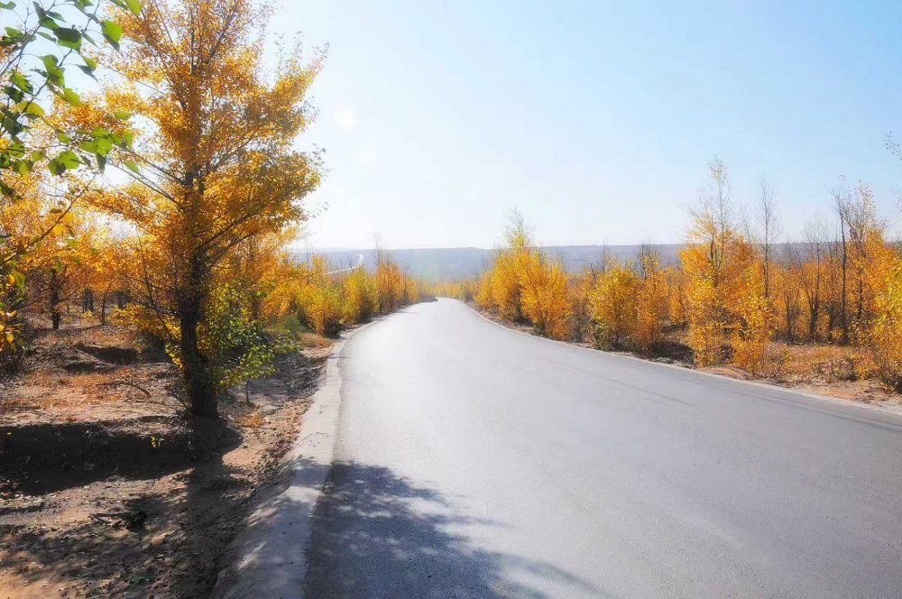 黃土鑄風骨 秋風唱大歌
