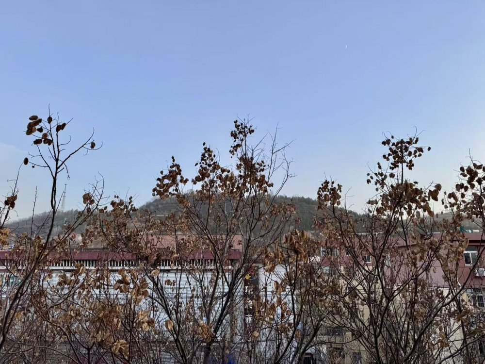 秋意漸濃時(shí),回望來時(shí)路